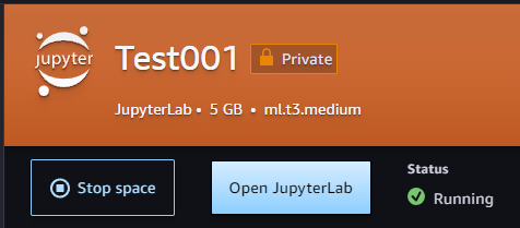 open Jupyter Lab